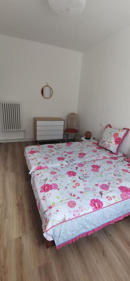 Appartement Jean Jaures Refait A Neuf Tours Luaran gambar